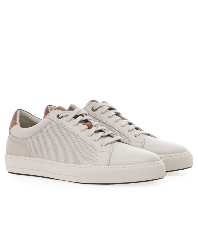 Rodd and Gunn Transit Sneakers