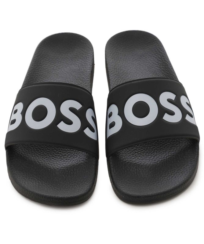 BOSS Aryeh Slides