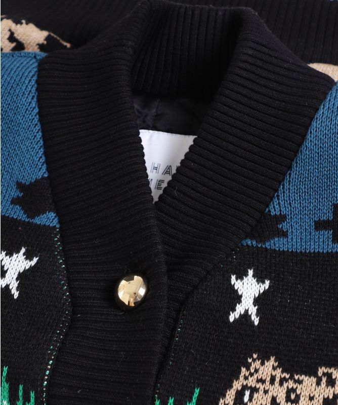 Hayley Menzies Leopardess Wool Bomber Jacket