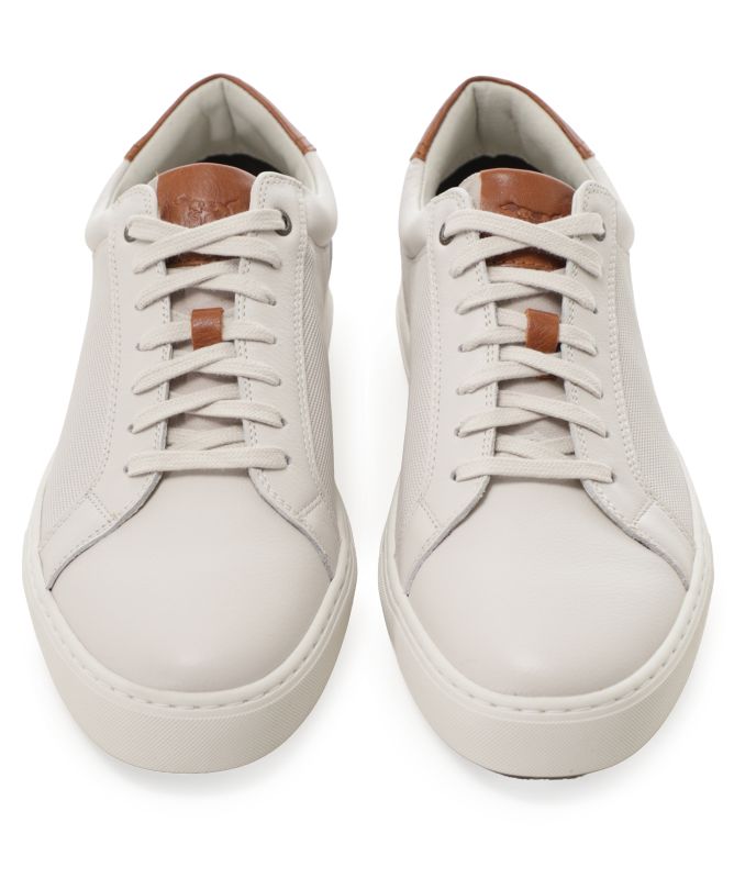 Rodd and Gunn Transit Sneakers