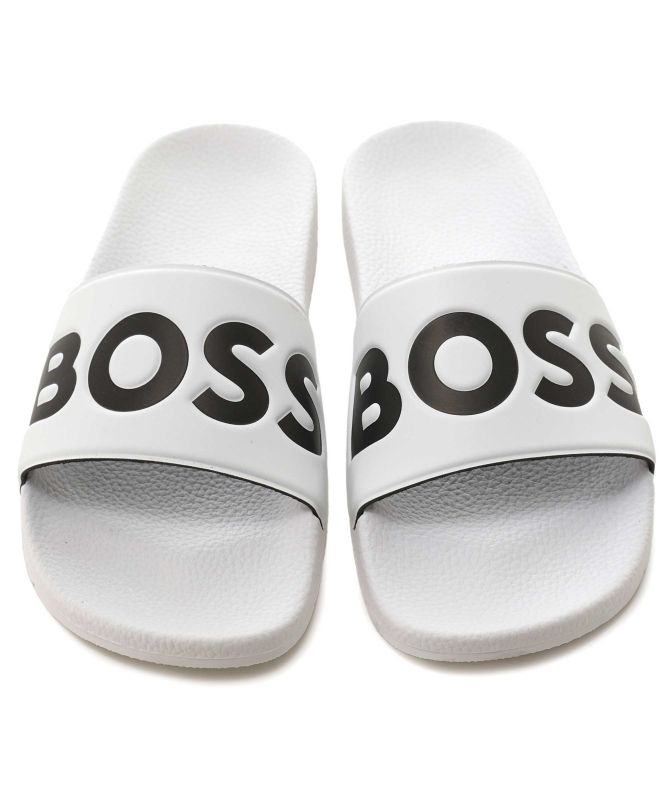 BOSS Aryeh Slides