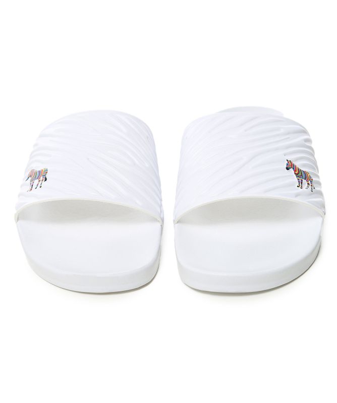 Paul Smith Zebra Summit Slides