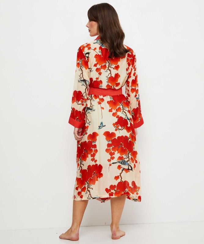 One Hundred Stars Acer Gown