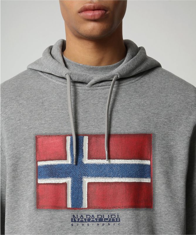 Napapijri Organic Cotton Birol Hoodie