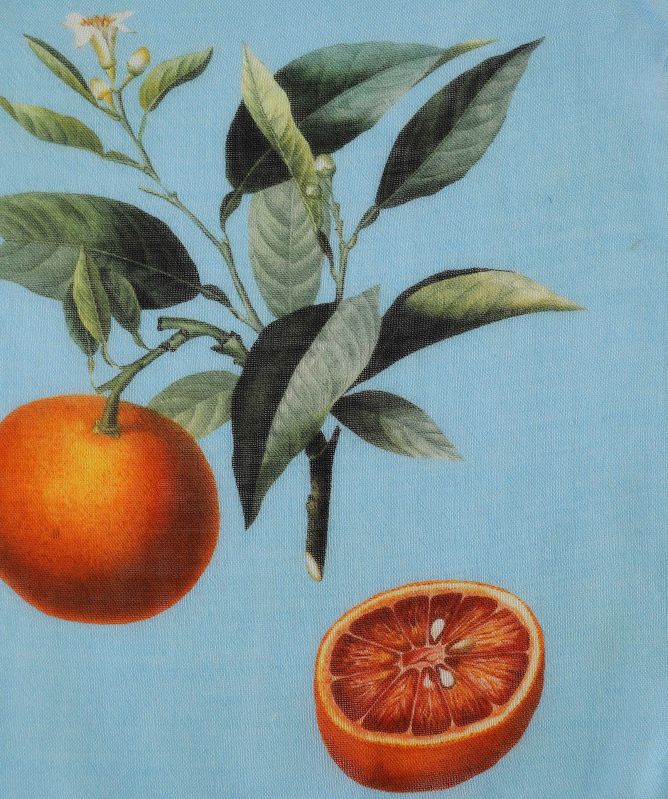 Stenstroms Citrus Print Pocket Square