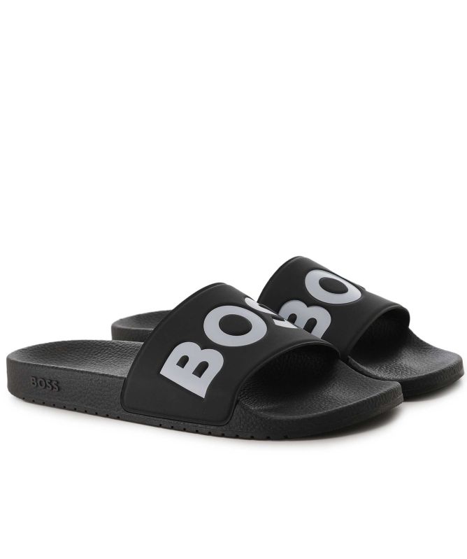 BOSS Aryeh Slides