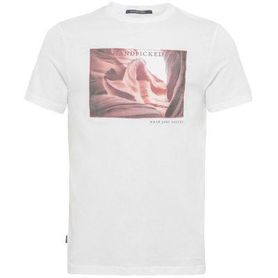 Graphic Print T-Shirt