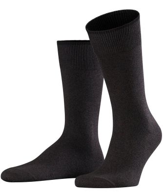 Graduate Socks