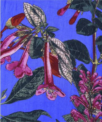 One Hundred Stars Women's Kew Magnolia Scarf