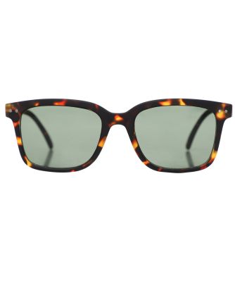 #L Tortoise Oversize Sunglasses