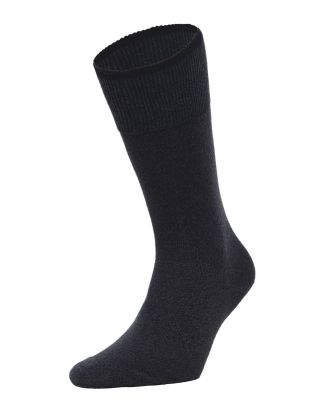 Graduate Socks
