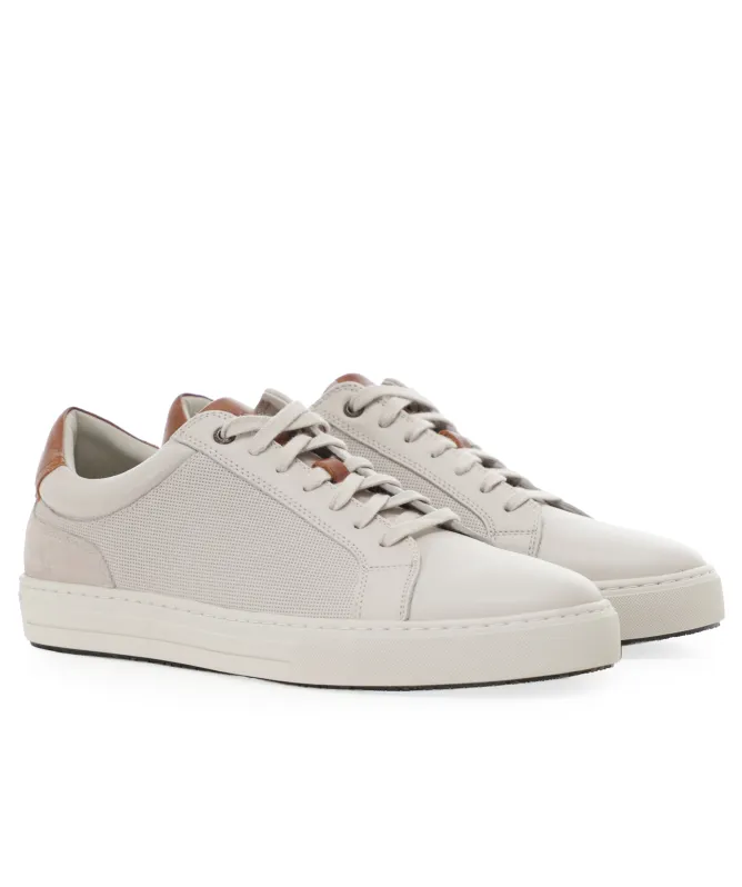 Rodd and Gunn Transit Sneakers