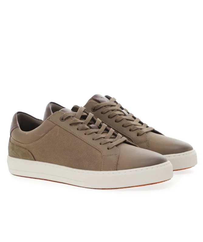 Rodd and Gunn Transit Sneakers